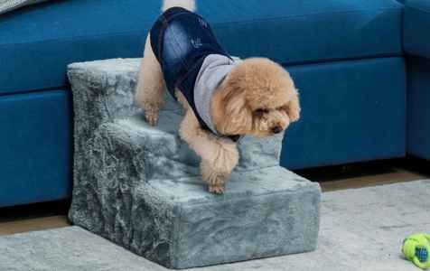 Faltbare Haustier-Treppen