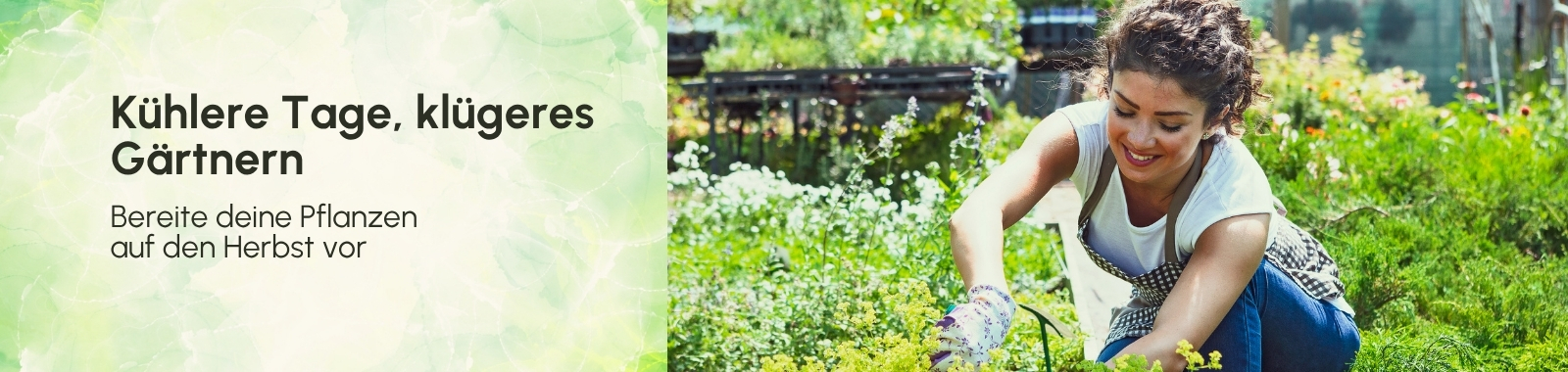 Banner Title