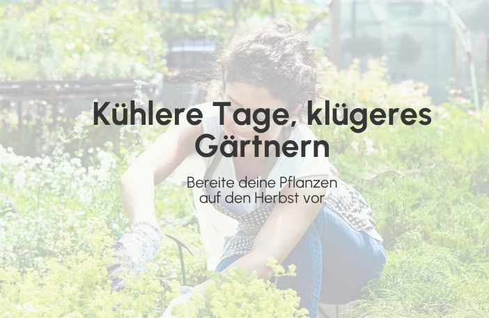 Banner Title