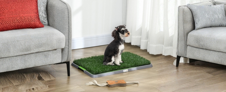 Gegen kalte nächtliche Ausflüge