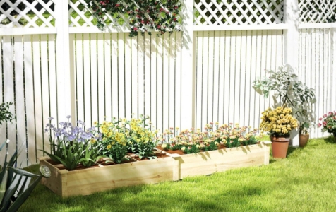 Flache Wurzeln (15–25 cm)