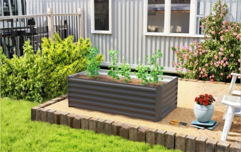 Halblange Wurzeln (40-60 cm)