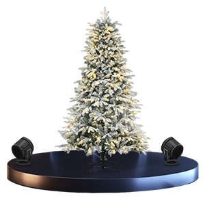 Choinki bożonarodzeniowe