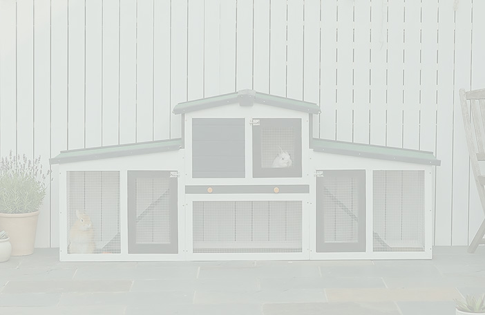 Ontgrendel uw dagelijkse verrassing!