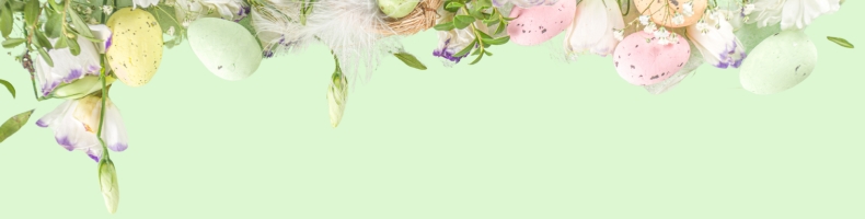 -100 zł na zakupy od 699 zł