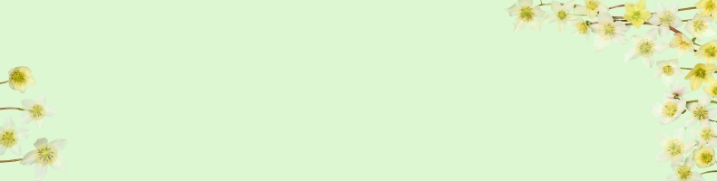 Prijsverlaging tot 40%