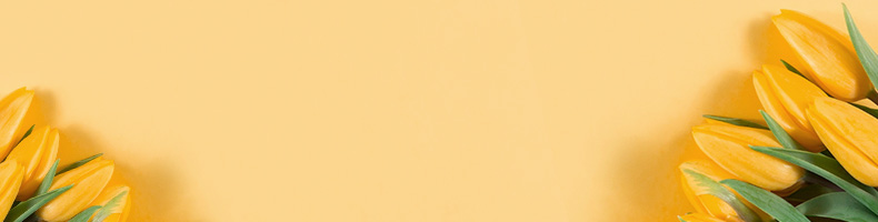 Prijsverlaging tot 55%