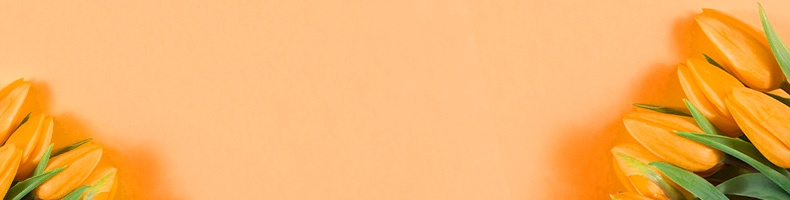 Prijsverlaging tot 45%