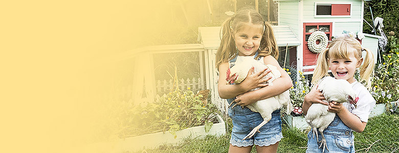 Allevare galline in giardino? Facile con i pollai prefabbricati