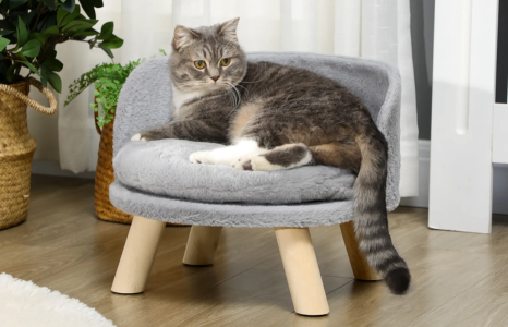 Per gli amici a quattro zampe