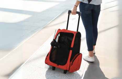 Trasportini per animali