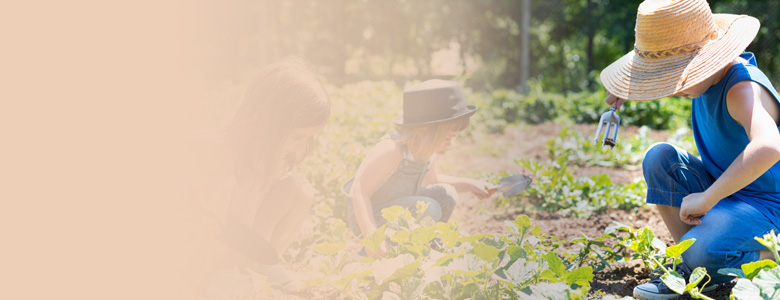 Come fare un orto in giardino: le dritte per iniziare