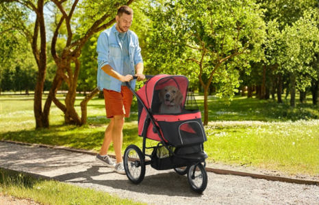 Trasportini per animali