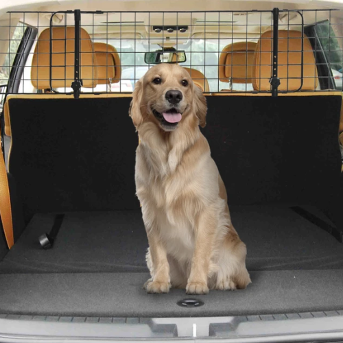Trasporto per animali