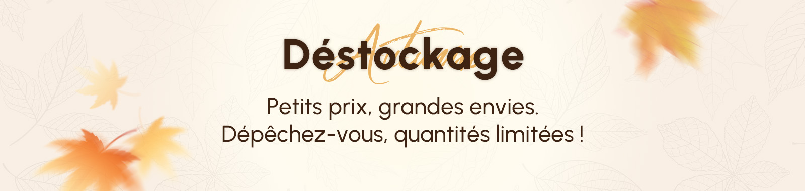 Banner Title