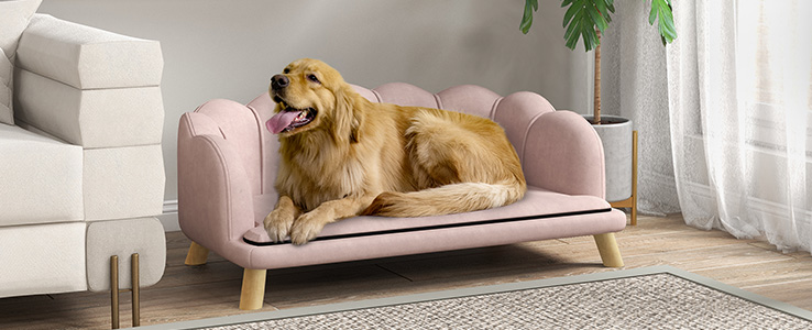 Canapé pour animaux — Douce chaleur et confort d’hiver