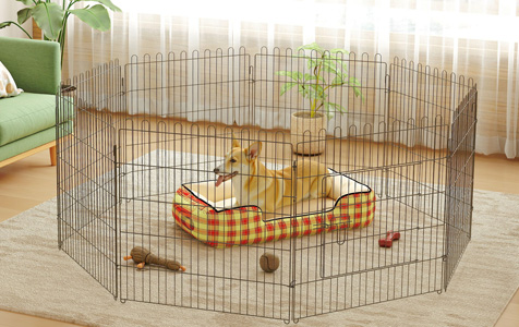 Parc pour animaux — Un espace sûr pour jouer à l’intérieur