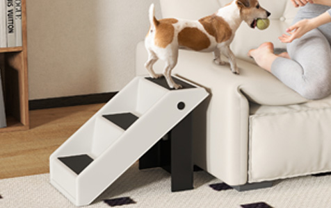 Escaliers pour animaux — Des marches vers plus de confort