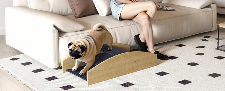 Variante plus sportive