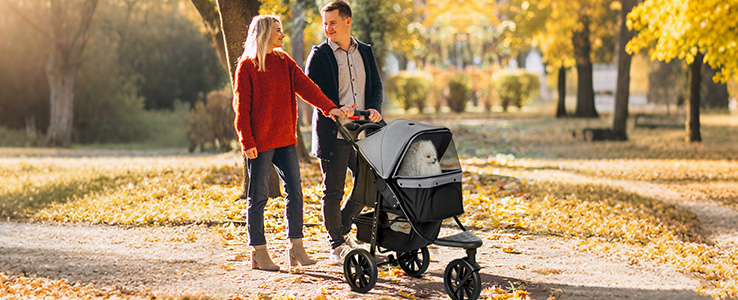 Sortir ensemble, en toute sérénité