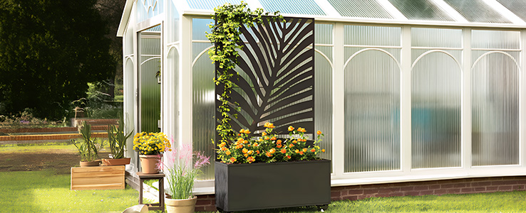 Prendre de la hauteur avec vos variétés grimpantes