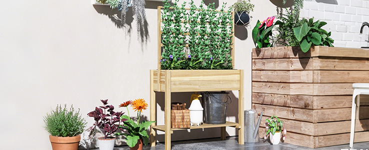 Le confort de culture à hauteur d'homme