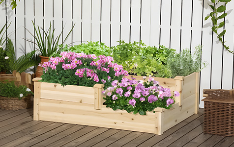 L’équilibre naturel pour des racines protégées