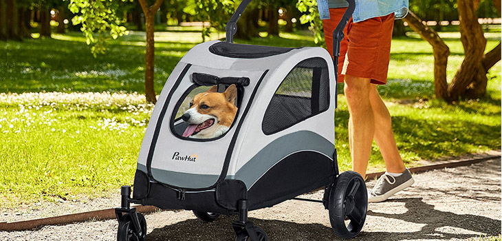 Amantes de los perros