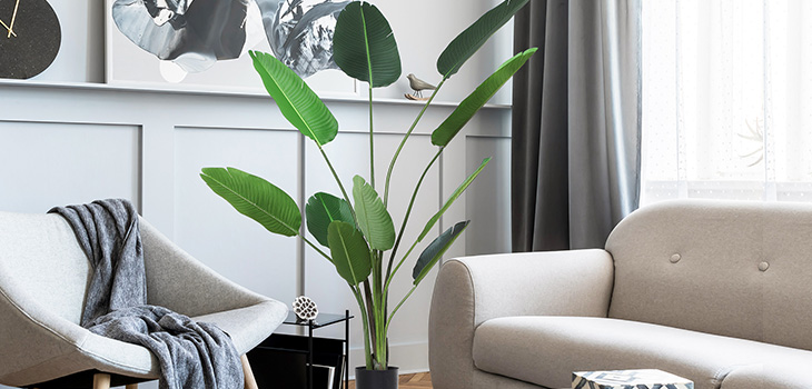 Plantas artificiales