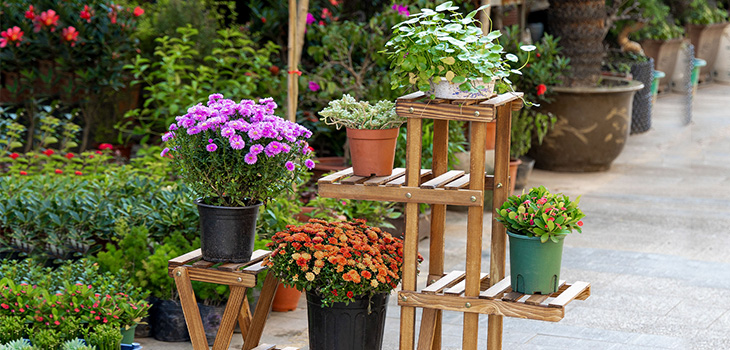 Soportes para plantas
