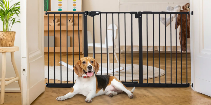 Barreiras de segurança