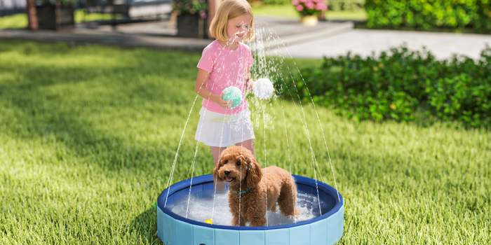 Piscina para cães