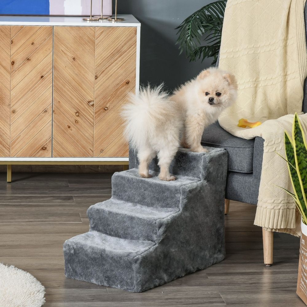 Accesorios para perros