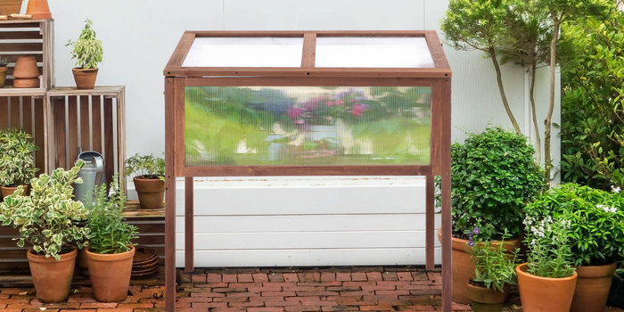 Invernadero de cultivo