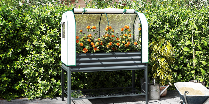 Mesas de cultivo com cobertura protetora