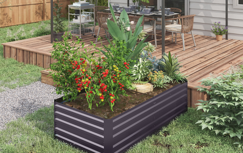 Para raíces medias (aprox. 30 cm)