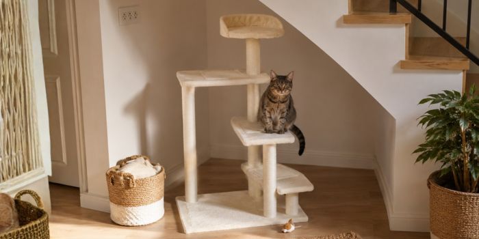 
Arranhadores para gatos