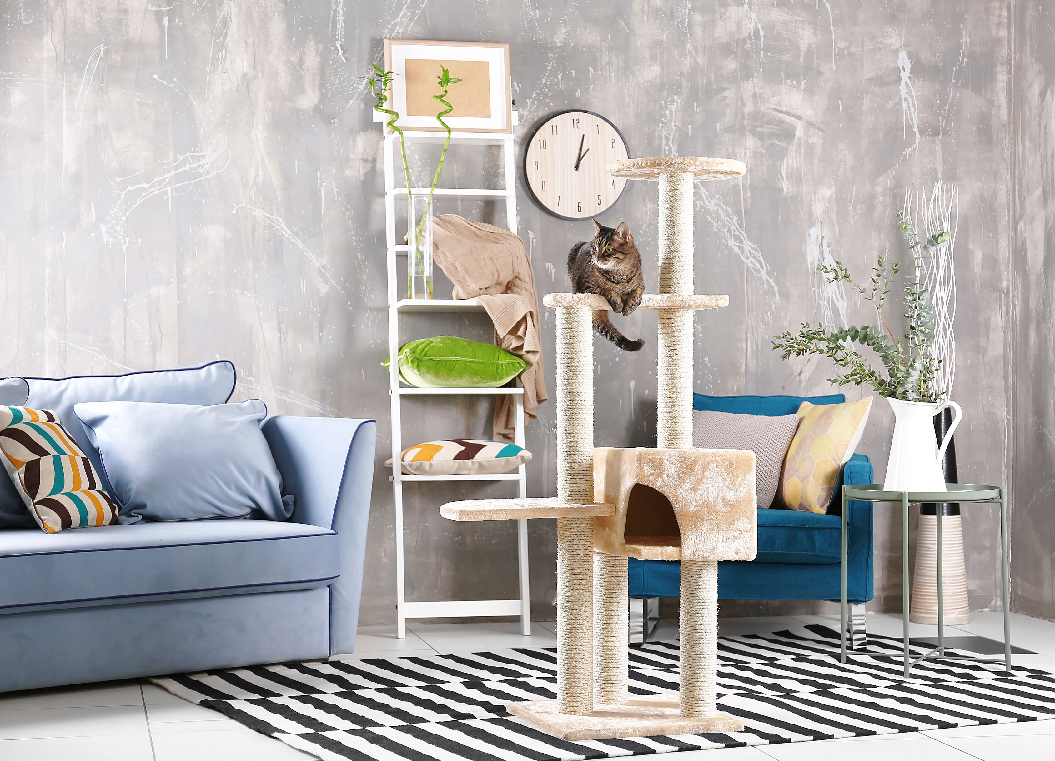 Adapte a sua casa para o seu gato