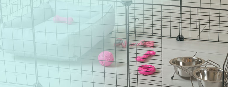 Que parque devo comprar para o meu cão?