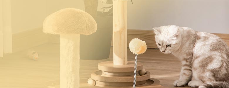 Que arranhador devo comprar para o meu gato?