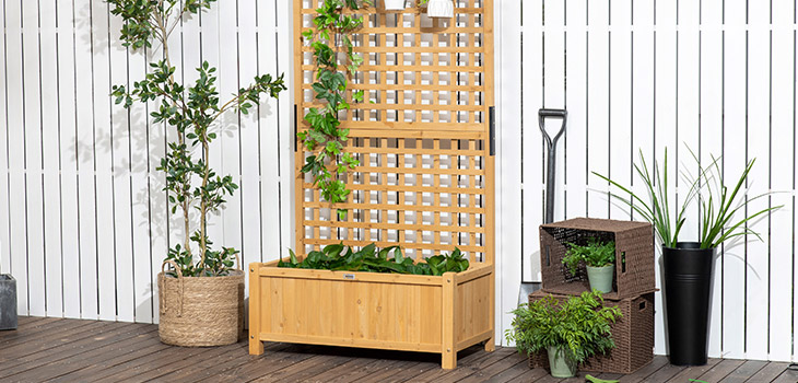 Renueva tu jardín y disfruta de la naturaleza