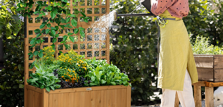 MÃES AMANTES DE JARDINAGEM