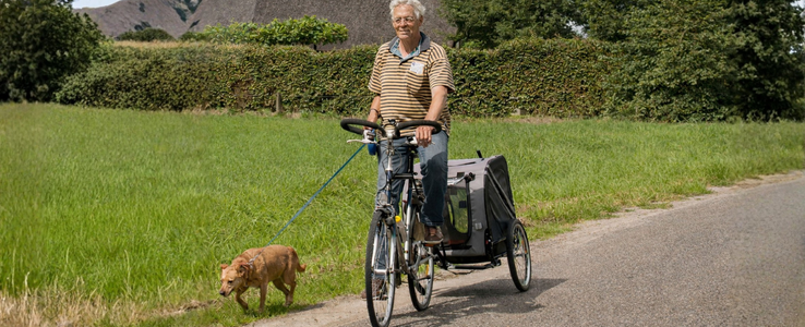 Reboque para bicicleta para cães