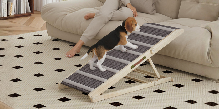 Rampa dobrável para cães