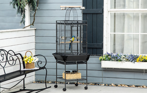 Easy-Clean Bird Cages