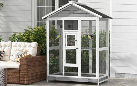 Spacious & Multi-Level Bird Cages