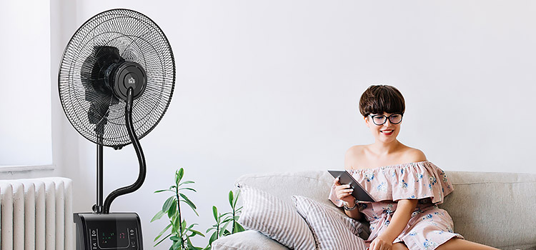 Ventilatoare cu soclu