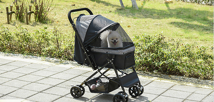 Calatorii cu animalul de companie