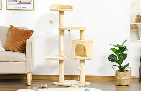 Ansambluri pentru pisici