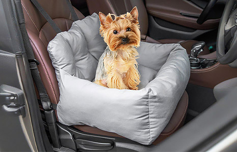 Culcușuri pentru câini